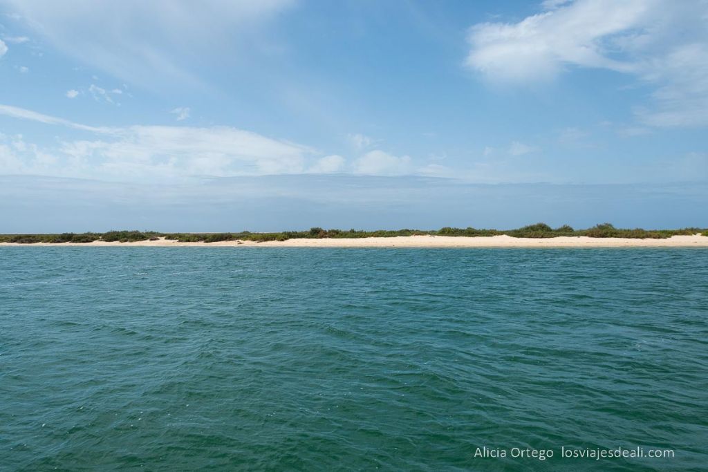 Un día en Ilha Deserta, el impresionante caribe portugués cerca de Faro (Algarve) 56 ría formosa en el algarve