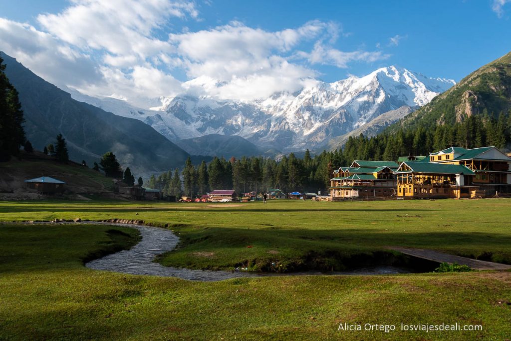 Fairy Meadows, el balcón del Nanga Parbat (Pakistán) 67 prados de fairy meadows