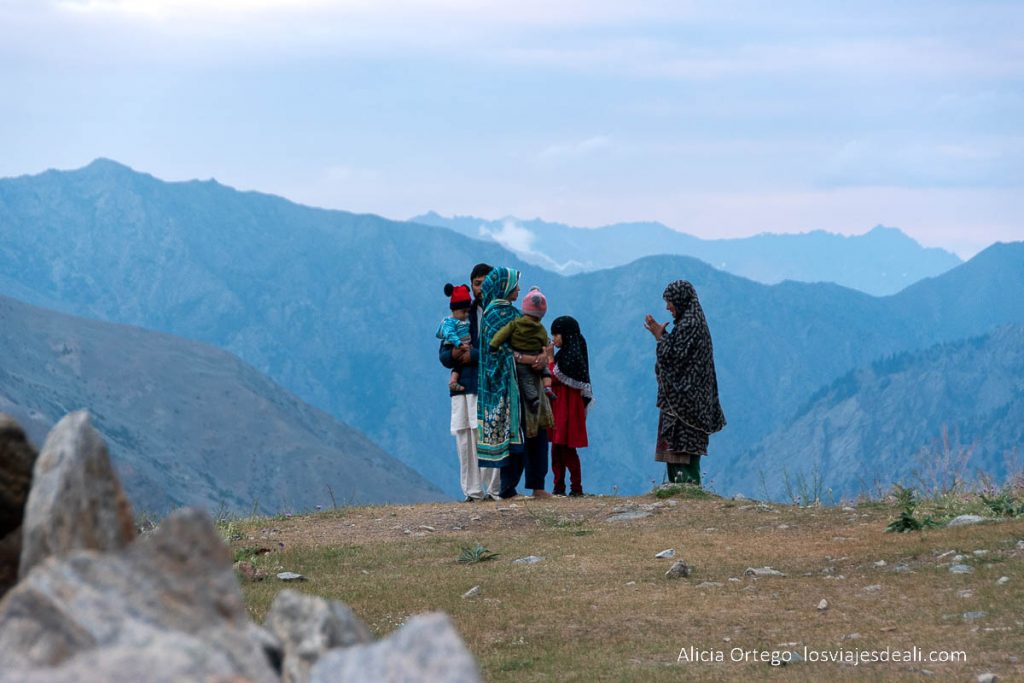 familia de tarishing
