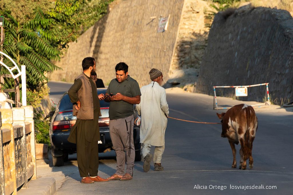 21 días en el Norte de Pakistán: imágenes y sensaciones de un viaje increíble 73 hombres en la carretera con una vaca