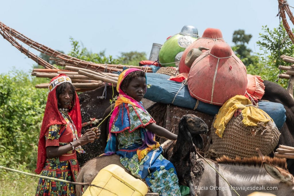 Festival Gerewol de Chad, una aventura inolvidable 90 En mi tercer viaje a Chad fui al encuentro del festival Gerewol de los Wodaabe. Un sueño que llevaba años labrando. La vida ha querido que fuese en un año de lluvias extraordinarias, así que la aventura estaba servida. gerewol