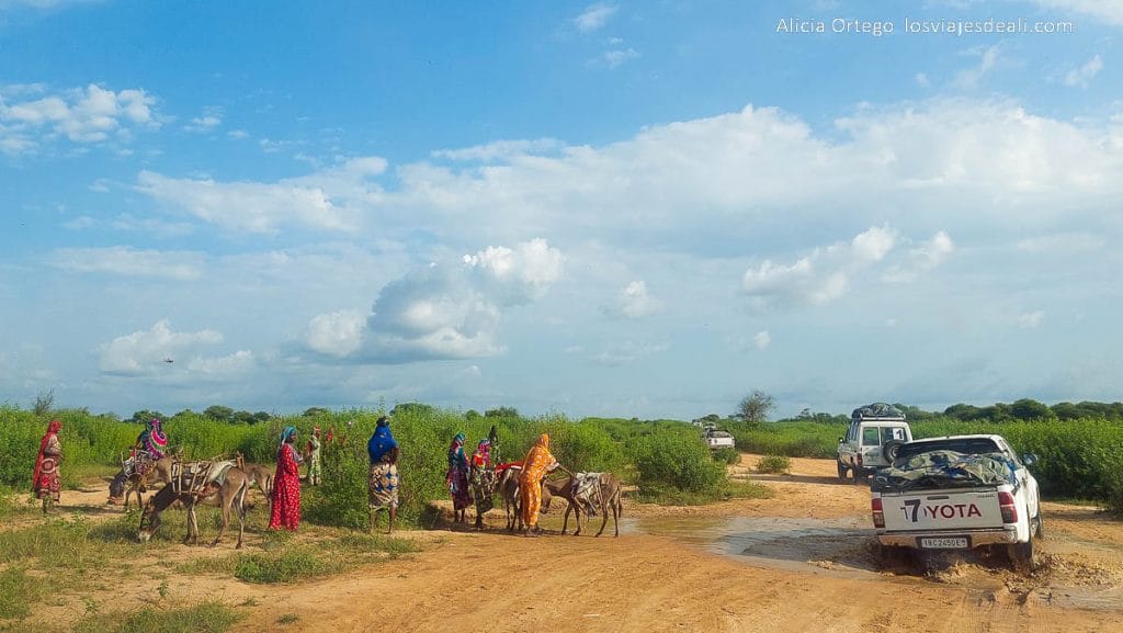 Festival Gerewol de Chad, una aventura inolvidable 89 pistas con charcos de barro de camino al gerewol