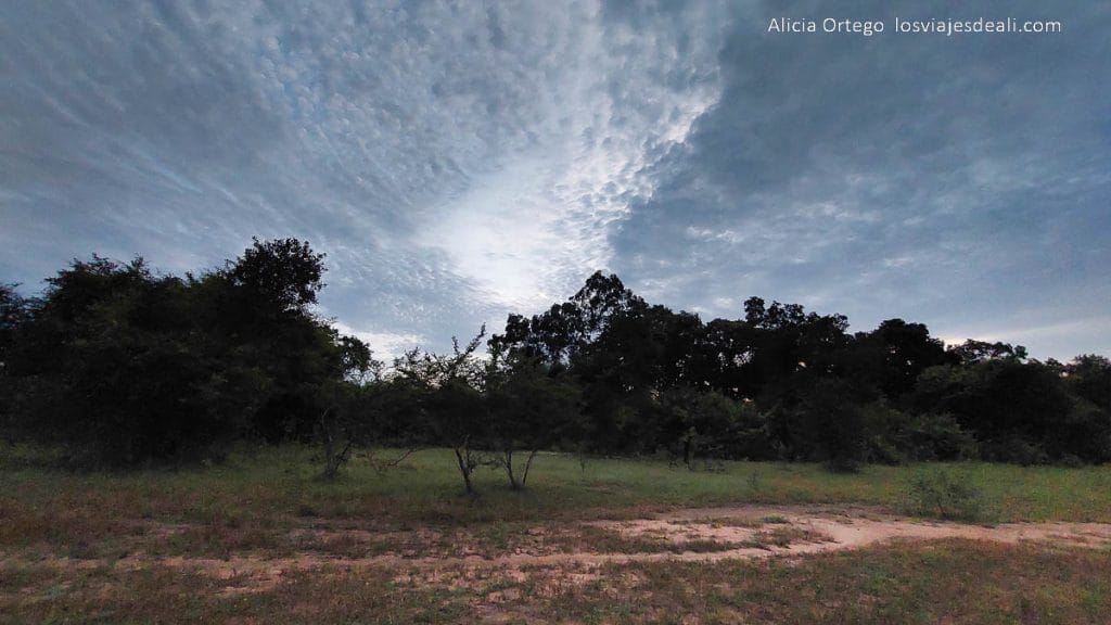 Festival Gerewol de Chad, una aventura inolvidable 93 amanecer en el sur de chad