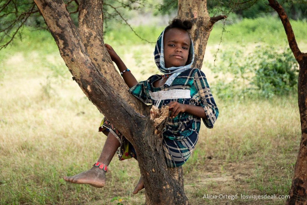 Festival Gerewol de Chad, una aventura inolvidable 124 niño wodaabe subido a un árbol