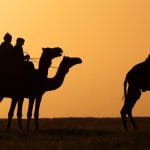 ganas de viajar caravana de camellos al atardecer