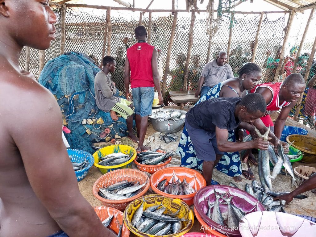subasta de pescado en el recinto