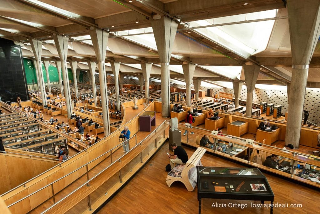 sala de lectura de biblioteca que ver en alejandria