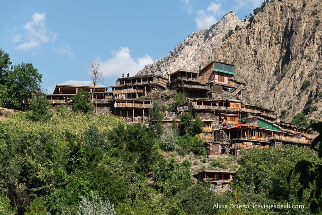 Los Kalash, una joya cultural escondida en las montañas del Norte de Pakistán 59 una aldea de los kalash rodeada de árboles frutales