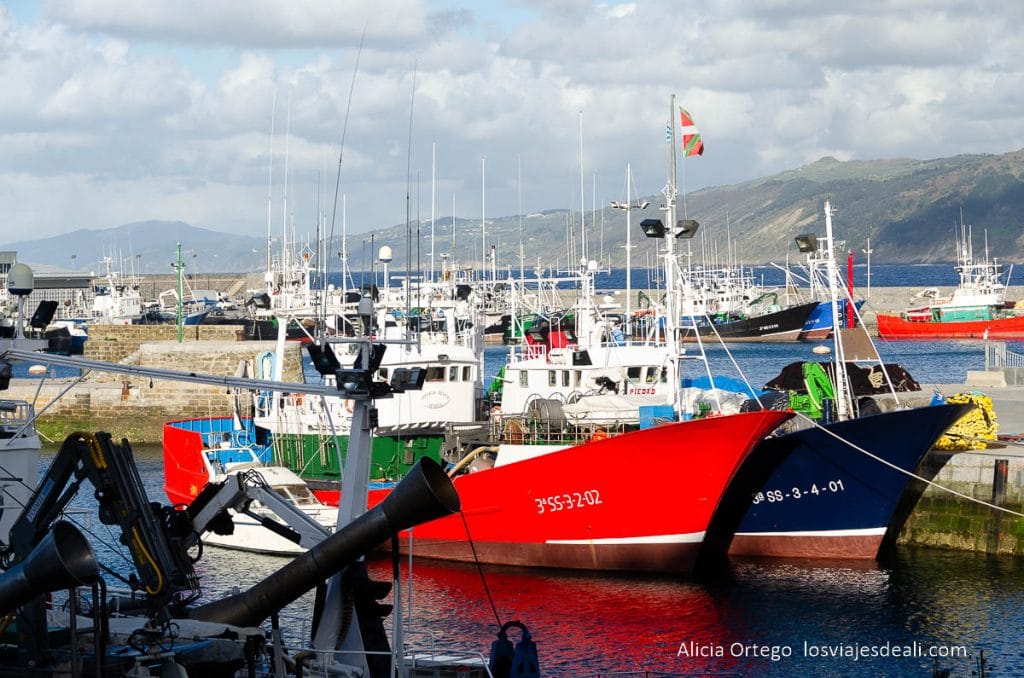 Qué ver cerca de San Sebastián: 8 pueblos maravillosos que descubrir 51 barcos pesqueros en el puerto de guetaria cerca de san sebastián