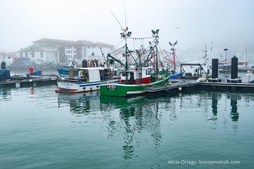 Qué ver cerca de San Sebastián: 8 pueblos maravillosos que descubrir 55 puerto de san juan de luz