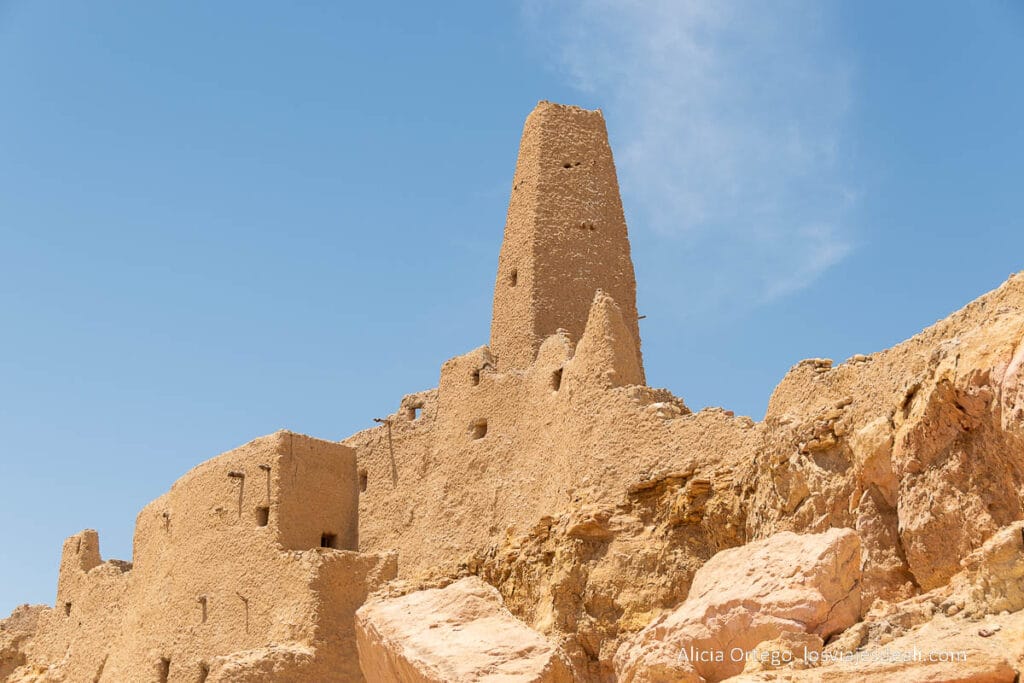 Guía del Oasis de Siwa: Antigüedad, Cultura y Naturaleza en un rincón único de Egipto 59 minarete y casas de adobe de siwa