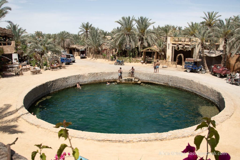 Guía del Oasis de Siwa: Antigüedad, Cultura y Naturaleza en un rincón único de Egipto 64 baño de cleopatra