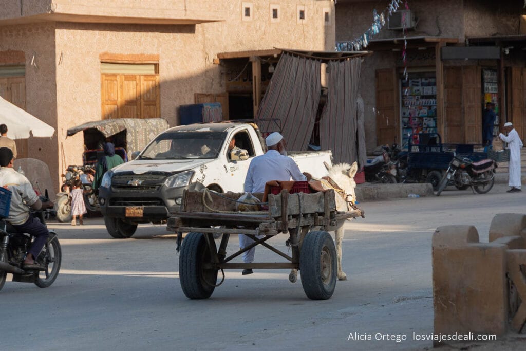 Guía del Oasis de Siwa: Antigüedad, Cultura y Naturaleza en un rincón único de Egipto 53 calle del centro de siwa