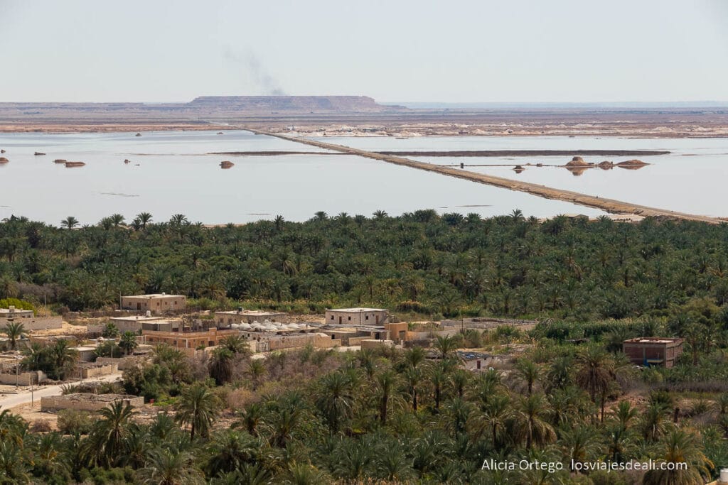 Guía del Oasis de Siwa: Antigüedad, Cultura y Naturaleza en un rincón único de Egipto 67 vistas del lago y las salinas desde la montaña