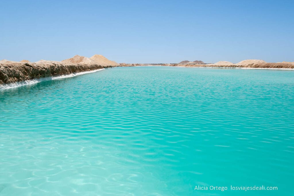 Guía del Oasis de Siwa: Antigüedad, Cultura y Naturaleza en un rincón único de Egipto 68 piscina natural de aguas turquesas en las salinas de siwa