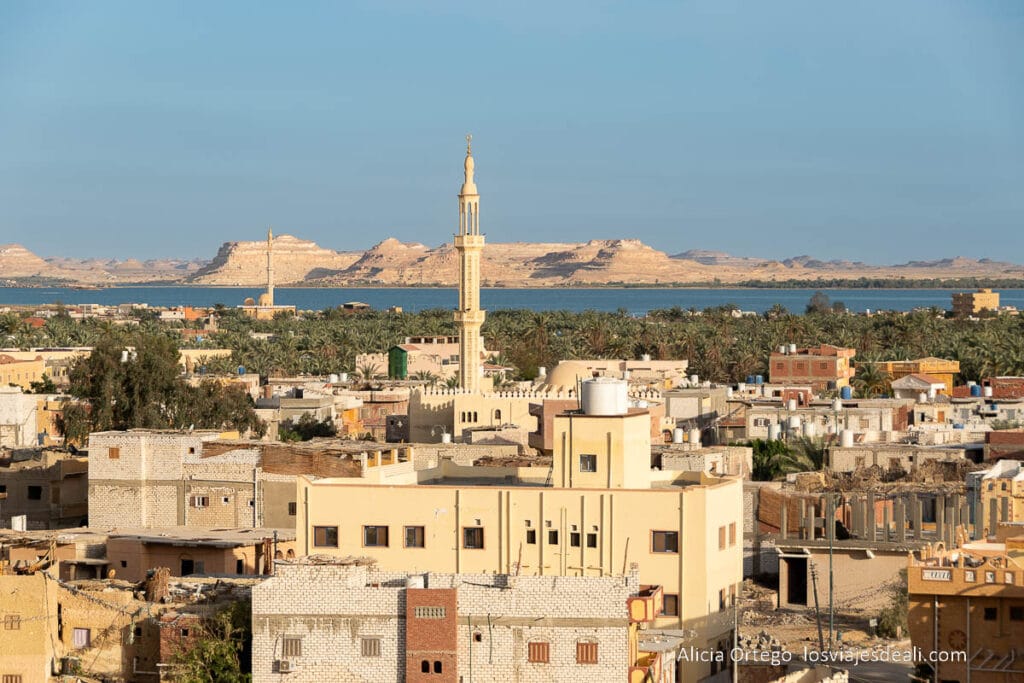 Guía del Oasis de Siwa: Antigüedad, Cultura y Naturaleza en un rincón único de Egipto 56 vistas del oasis de siwa desde la fortaleza de shali