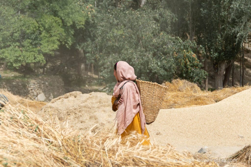 12 sitios que ver en Pakistán (Norte), un viaje alucinante 67 niña con un cesto a la espalda entre montones de cereal que ver en pakistán