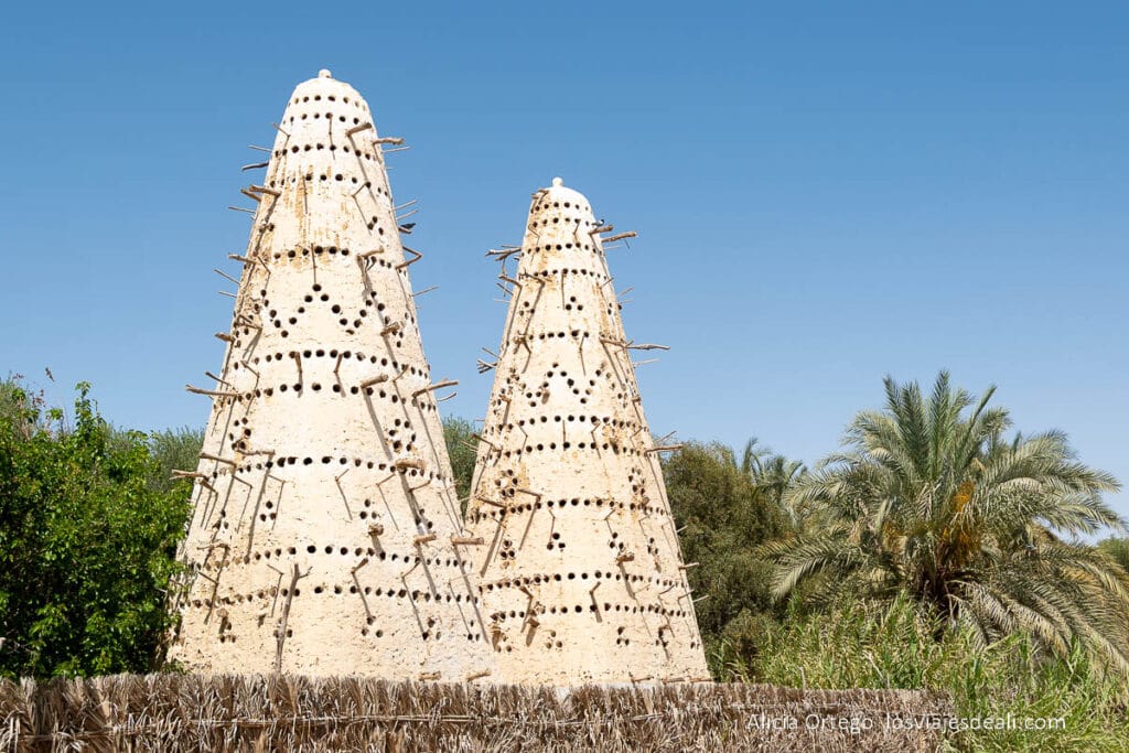 Guía del Oasis de Siwa: Antigüedad, Cultura y Naturaleza en un rincón único de Egipto 51 palomares del oasis de siwa