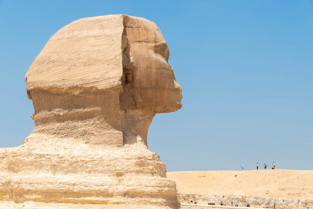 Guía para visitar las Pirámides de Giza: un viaje al corazón del Antiguo Egipto 47 el perfil de la esfinge de giza