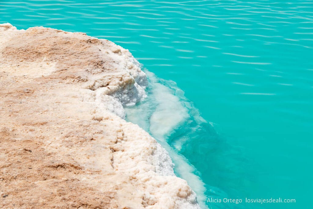 Guía del Oasis de Siwa: Antigüedad, Cultura y Naturaleza en un rincón único de Egipto 69 orilla con capas de sal y agua turquesa