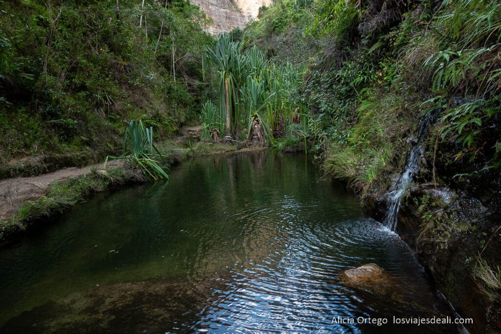 17 sitios fabulosos que ver en Madagascar, de la costa este a la oeste 54 cañón con arroyo, helechos y cascada en el parque de Isalo