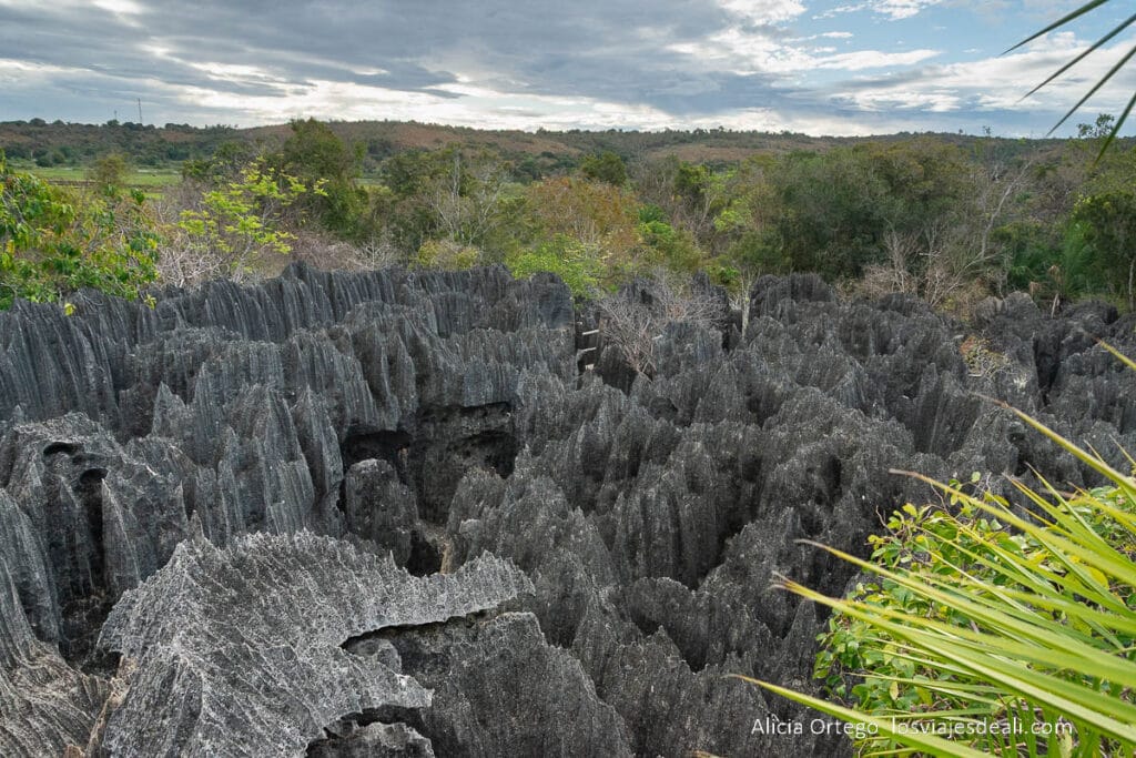 17 sitios fabulosos que ver en Madagascar, de la costa este a la oeste 64 paisaje de los petit tsingy de madagascar