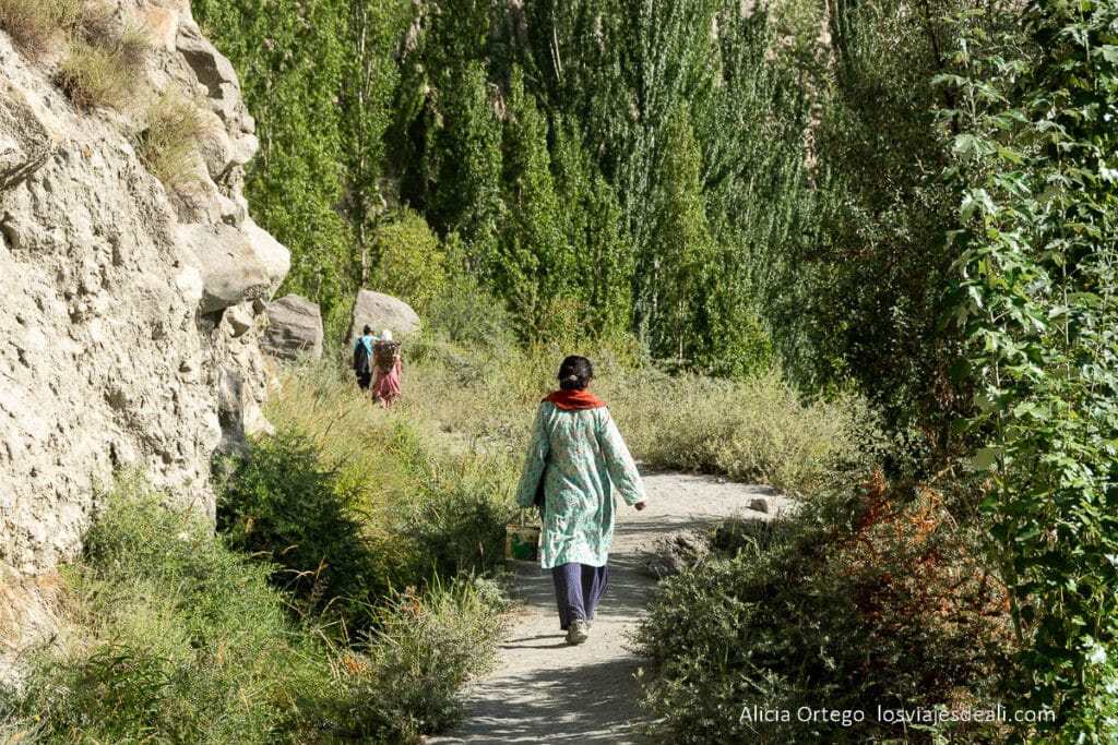 Qué ver en Karimabad en dos días: guía completa de este imprescindible del Norte de Pakistán 72 sendero entre huertos que ver en karimabad