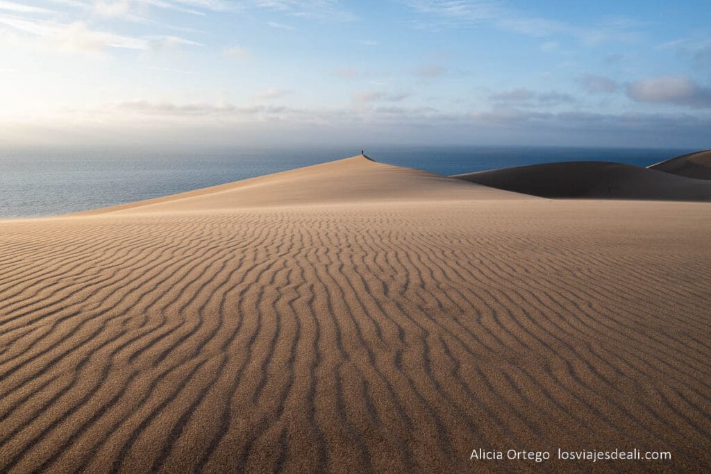 dunas de bahia dos tigres y el mar en el horizonte 