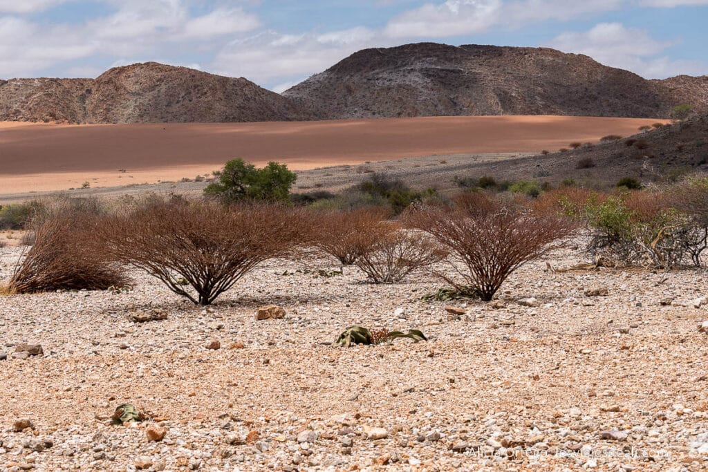 paisaje del parque nacional de iona