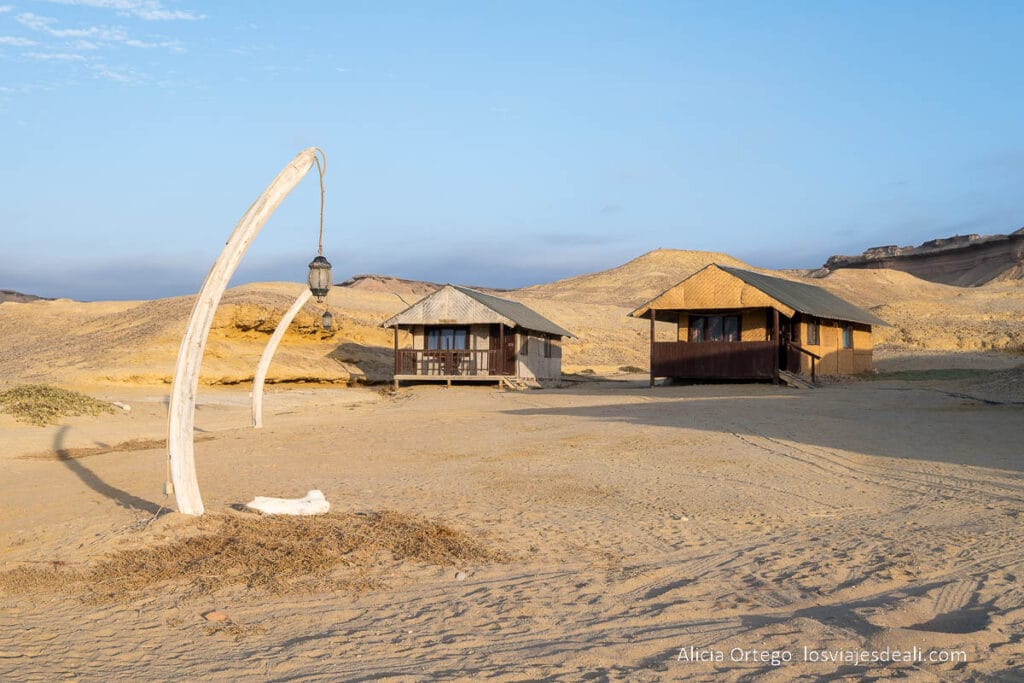 cabañas del flamingo lodge