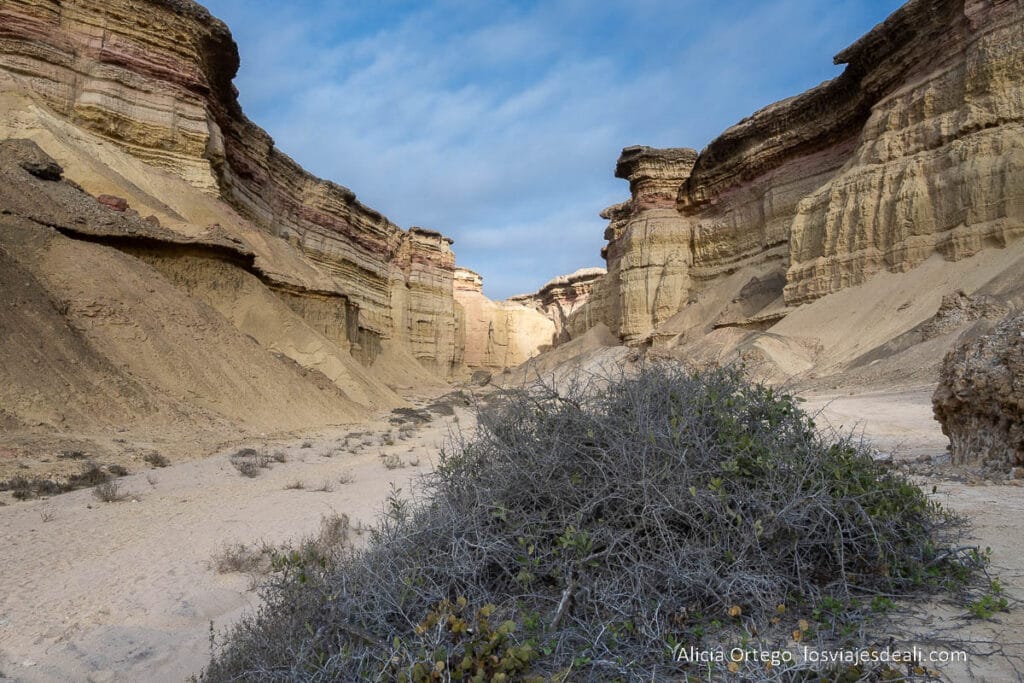 flamingo canyon que ver en moçamedes