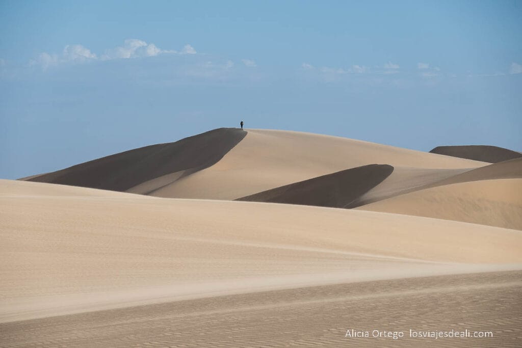 un hombre en lo alto de una duna
