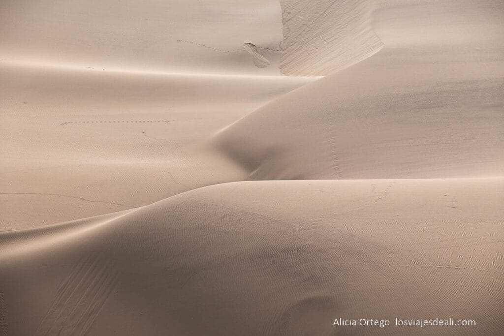 dunas dibujando curvas