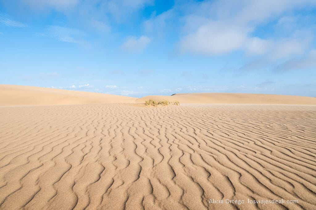 dunas con dibujo hecho por el viento