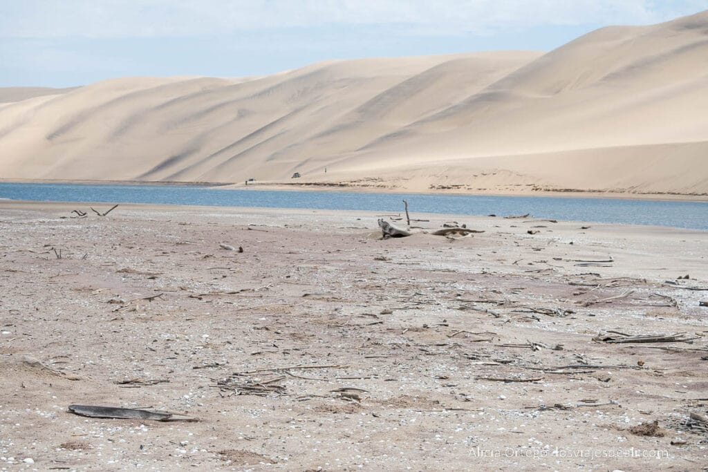 dunas con líneas de color más oscuro