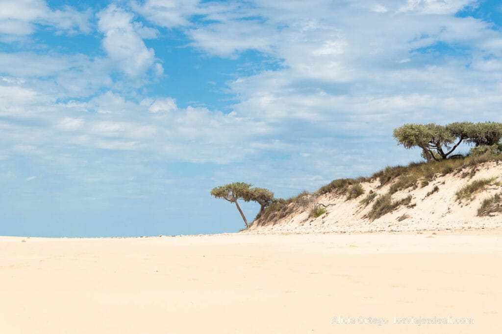 Ruta por la Costa Oeste de Madagascar para 9 días 65 islote de arena blanca