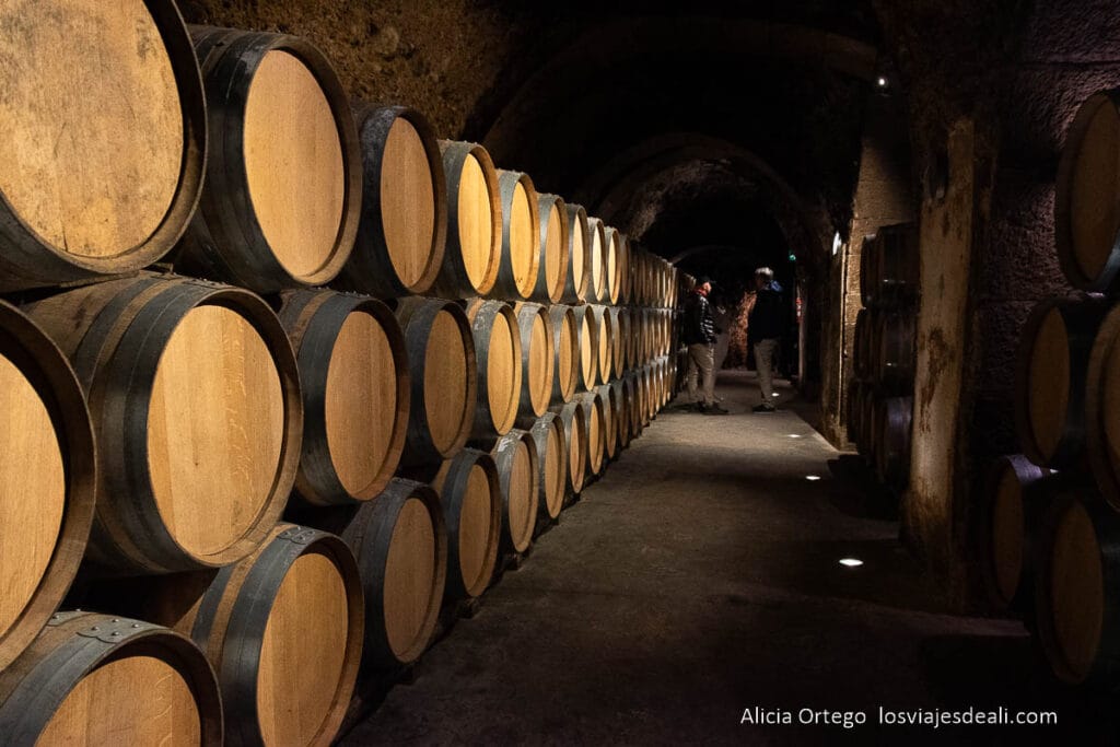 pasillo lleno de barriles en bodega casa primicia
