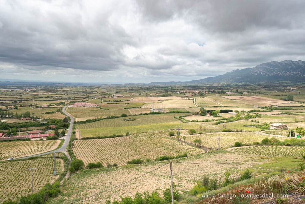 panorama de la rioja alavesa desde laguardia