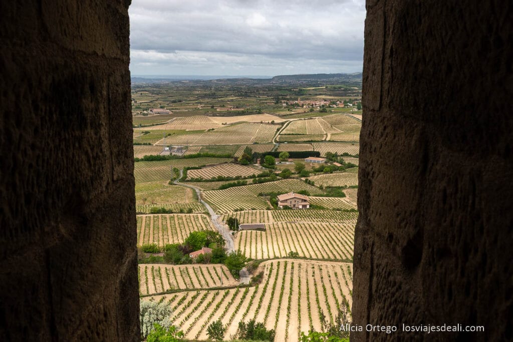 vistas de la rioja alavesa desde la torre abacial de laguardia