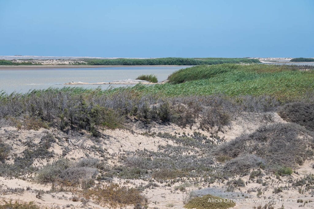 foz do cunene que ver en el parque nacional de iona