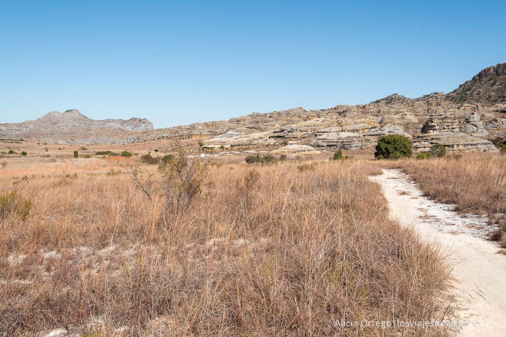 meseta de Isalo con camino y hierbas altas