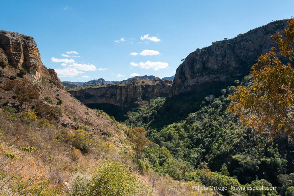 bajando al cañón de isalo con mucha vegetación 