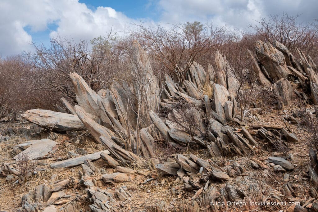 rocas puntiagudas y arbustos de color rojo