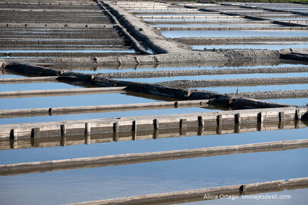 bancales de las salinas de aveiro