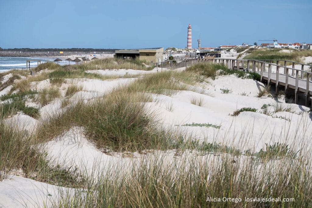 dunas de la playa de barra y faro al fondo