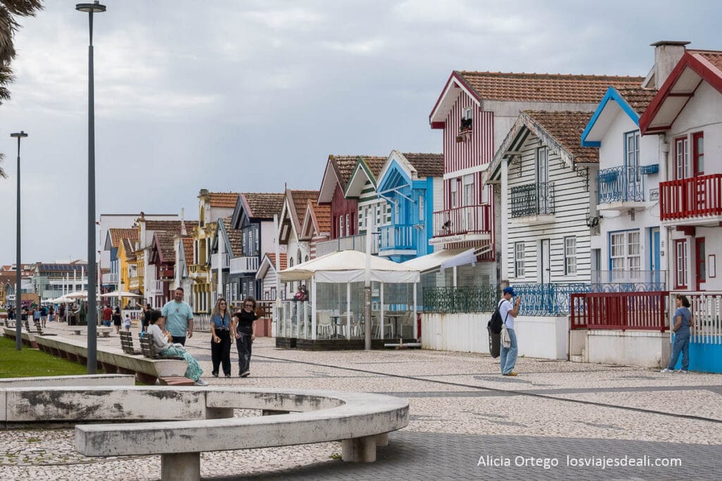 avenida de palheiros en costa nova