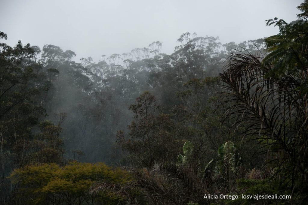 paisaje de reserva de vakona