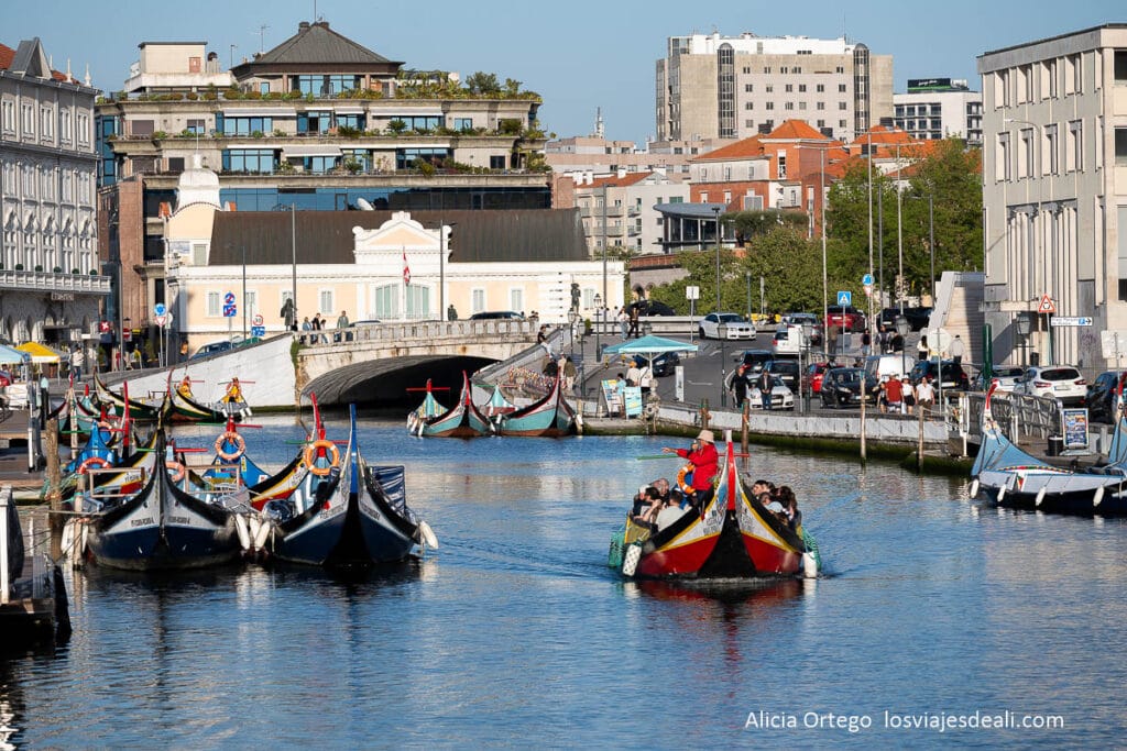 moliceiros con turistas en el canal principal