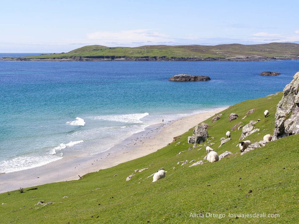 costa con playa de la isla de inishbofin que ver en irlanda