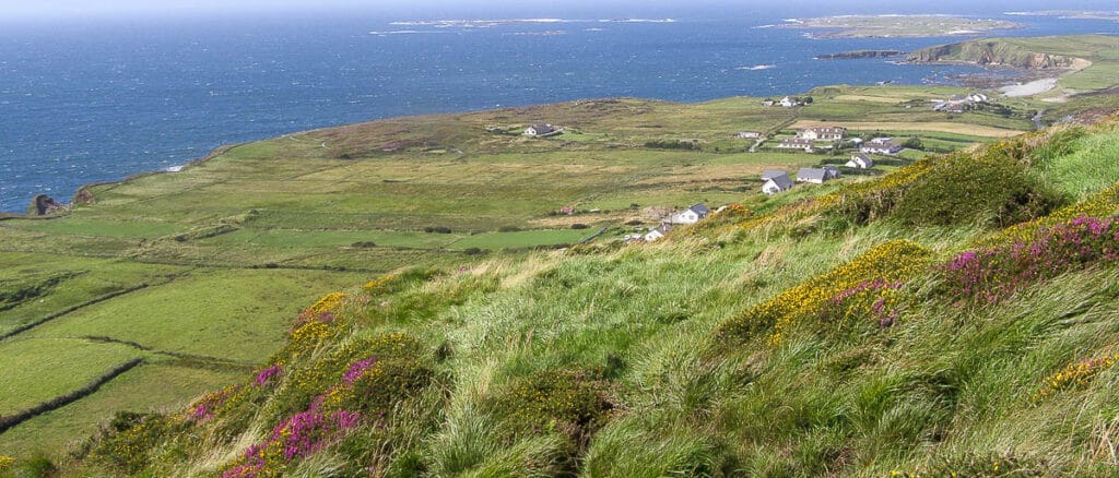 qué ver en irlanda paisaje junto al mar